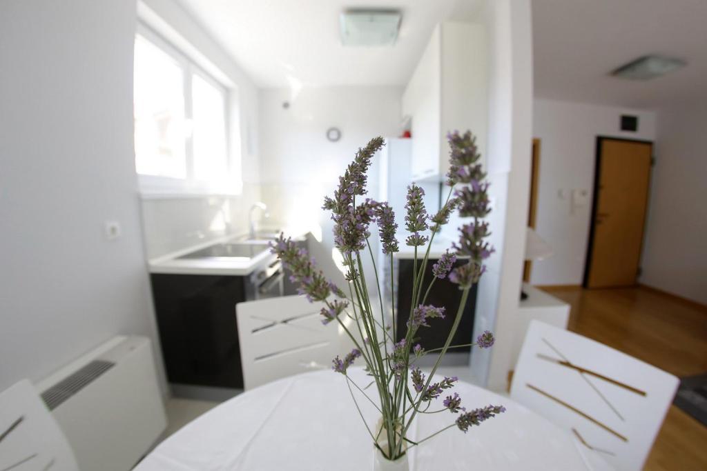 Lila Apartman Zadar